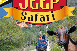 Flyer Jeep Safari